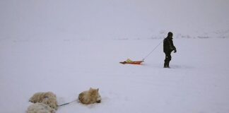 Cinema in Collina, torna la rassegna gratuita a cura del Reggio Film Festival