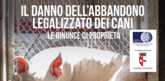 “Il danno dell’abbandono legalizzato dei cani” il 20 giugno a Piacenza