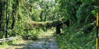 Provincia di Modena: maltempo, la situazione delle strade provinciali