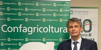 Confagricoltura: “Un Ferragosto amaro per gli agricoltori”