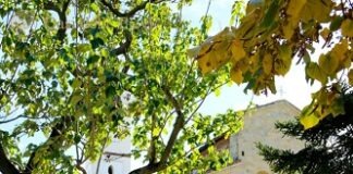 Nella notte di San Lorenzo armonia di note e stelle al Santuario di Careno