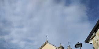 Natura in scena: dal bosco al Teatro