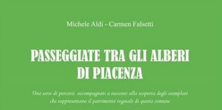 “Passeggiate tra gli alberi di Piacenza” il 27 settembre la presentazione a Piacenza