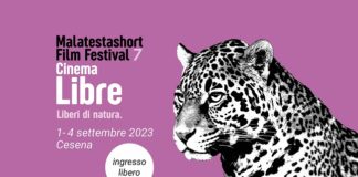 MalatestaShort Film Festival 7° edizione a Cesena