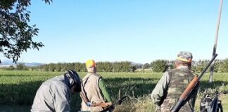 Provincia di Modena: caccia preapertura domenica 3 settembre