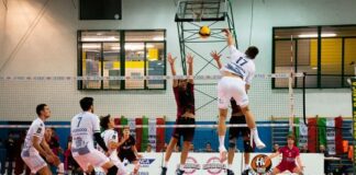 I rossoblu in scena al Palasavena: a Bologna arriva la Pallavolo Motta