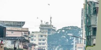 Federico Monica porta a Ottobre Africano l’anima della Sierra Leone