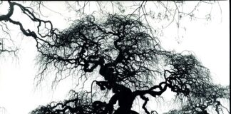 Pensare il paesaggio. Prospettive per una strategia dell’attenzione il 21 ottobre a Reggio Emilia