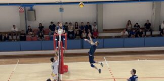 Serie B: PromoPharma sconfitta a Ferrara