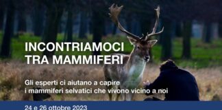 “Incontriamoci tra mammiferi”, due giornate per conoscere meglio il nostro ecosistema