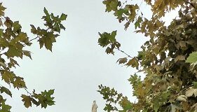In piazza Ariostea controllo periodico sullo stato di salute del monumento dedicato al poeta