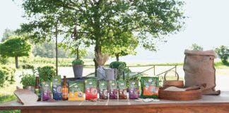 Appuntamenti QUIN al Ferrara Food Festival