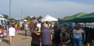 Appuntamento in Darsena domenica 5 novembre con La Pulce d’Acqua