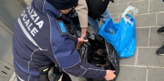 Piacenza, contrasto al commercio abusivo