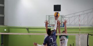 Bologna ancora sconfitta