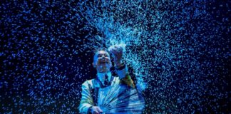 Accademia Perduta/Romagna Teatri e Comune di Forlì selezionati per il Concorso Nazionale Art Bonus 2024