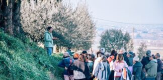 Profumi e sapori delle erbe spontanee all’agriturismo La Sabbiona