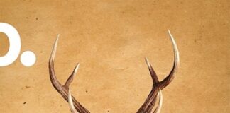 Romanzo di Crinale, nuovo libro di Silvano Scaruffi