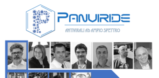 2 milioni di euro al progetto “PANVIRIDE”: l’Università di Parma alla guida di un consorzio per lo sviluppo di farmaci antivirali innovativi