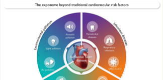 Rischi cardiaci: attenzione all’esposoma, i fattori tradizionali non bastano