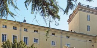 15 febbraio: prevenire e curare la “mascolinità tossica”, se ne parla in un seminario all’Università di Parma