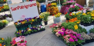 A San Giovanni in Marignano, si festeggia la “Primavera in Piazza”