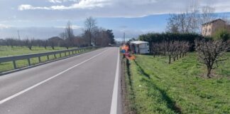 Provincia di Modena: San Cesario, chiude tratto strada provinciale 14