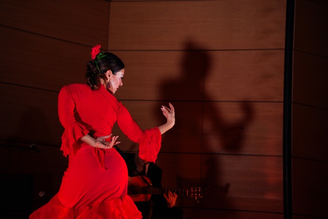 We Call It Flamenco: il patrimonio culturale spagnolo arriva a Bologna