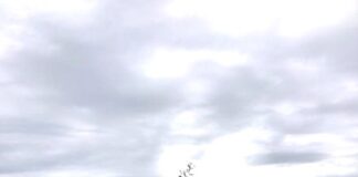 Nelle campagne russiane si rivive il fascino della tradizione