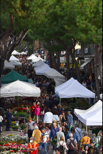 “Cattolica in Fiore” dal 27 aprile al 1° maggio