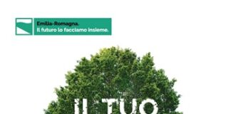 Piacenza in fiore, le limitazioni alla viabilità