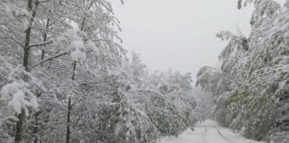 Nevicata di primavera, pochi disagi nel Reggiano