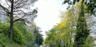 AASLP: completamento del percorso pedonale in Via Napoleone e Via Cella Bella