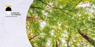 “Giardini Estensi”: un’ottantina di florovivaisti e artigiani, incontri e laboratori gratuiti