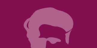 Bando Marie Skłodowska-Curie Actions Postdoctoral Fellowship: finanziati altri due progetti “targati” Università di Parma