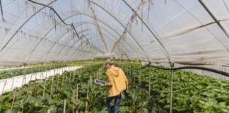 11 e 12 aprile: all’Università di Parma il workshop scientifico “The sustainability of food supply chains: theory, tools and empirical analysis”
