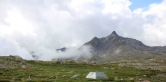 Riscaldamento globale: rilevanti effetti sul rilascio di anidride carbonica della tundra artica e alpina