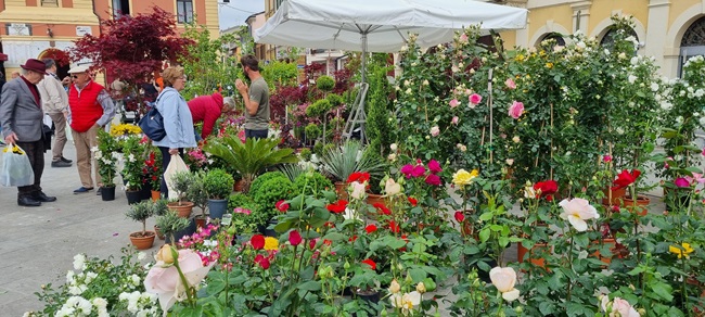 “Fiorimpopoli” il 4 e 5 maggio nelle vie del centro di Forlimpopoli