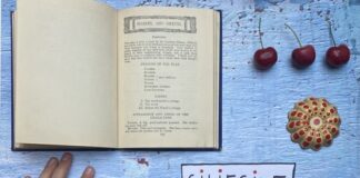 Ciliegine. Festival itinerante di letteratura per l’infanzia, dal 24 al 26 maggio 2024 a Parma
