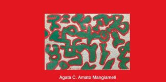 24 maggio: all’Università di Parma presentazione del volume “Natur@. Dimensioni della biogiuridica” di Agata Amato Mangiameli