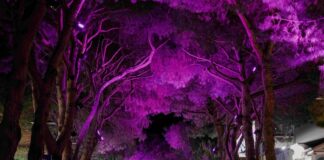 Arriva il Giro d’Italia Riccione si tinge di rosa per una settimana