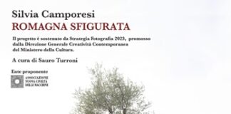 Romagna sfigurata, Silvia Camporesi espone al Palazzo del Monte
