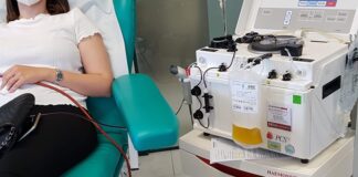 Avis provinciale Modena: dati del primo quadrimestre 2024