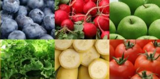 7 maggio: all’Università di Parma convegno internazionale sulla sicurezza alimentare