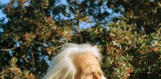 L’esposizione What We Already Think We Know dal 15 al 31 maggio a Londra