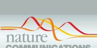 Nuovi approcci terapeutici per la leucemia mieloide acuta: i risultati di uno studio guidato dall’Università di Parma pubblicati sulla rivista “Nature Communications”