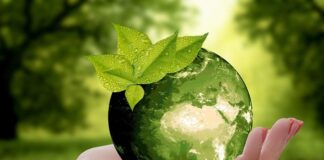 GI-SMART: anche l’Università di Parma nel progetto sul contributo delle Indicazioni Geografiche (IG) allo sviluppo sostenibile