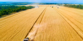 12 giugno: agli “Aperitivi della conoscenza” agricoltura e bioeconomia
