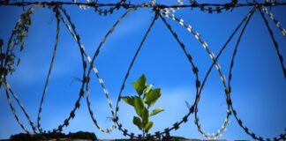 19 giugno: incontro “Società che cambia, stereotipi che restano: la parità di genere nell’Italia del XXI secolo”