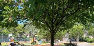 Riqualificazione del Quartiere Giardino: al via la manifestazione d’interesse rivolta alle Aps per animare le aree verdi e i parchi